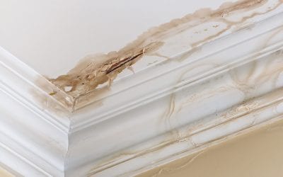 4 Mistakes That Cause Mold Indoors