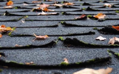 7 Signs You May Need a New Roof